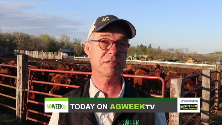 AgweekTV Full Show: Planting progress, blizzard impact, potato planting, Bill Gates buys farmland - Vimarsana News