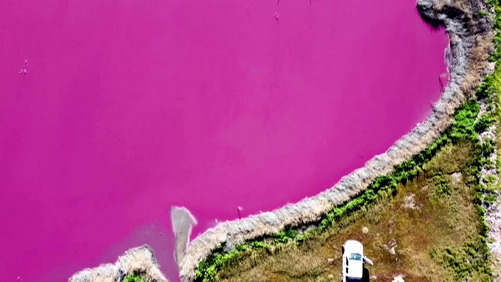 National Post | Argentina lagoon turns bright pink due to pollution...