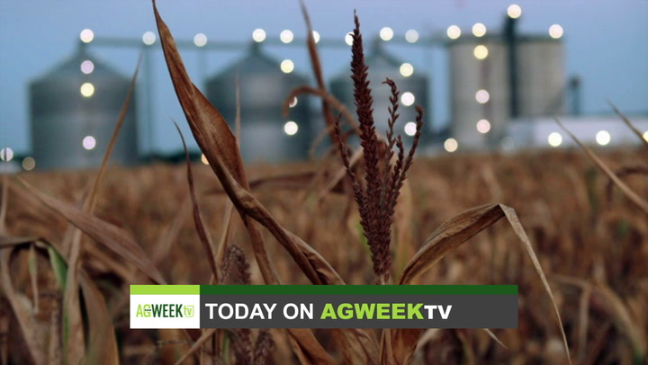 Agweek TV Full Show: Small town revitalization, swine growth, renewable fuel and a soil health lesson - Vimarsana News