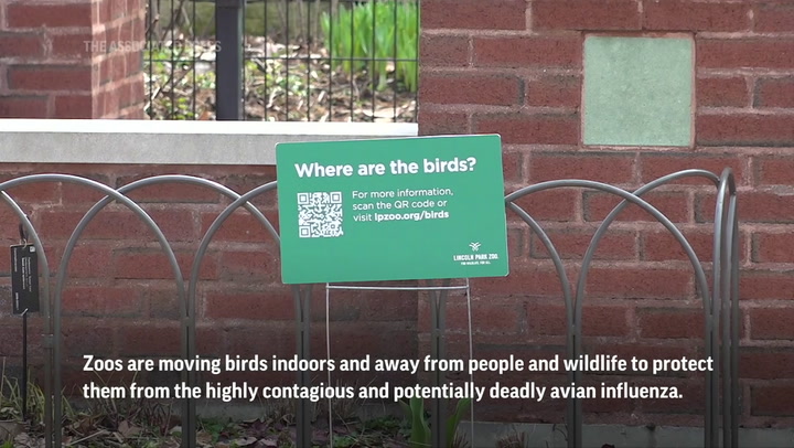 National Post | Zoos Hiding Birds Inside As Avian Flu Spreads