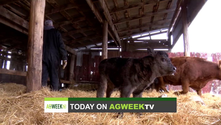AgweekTV Full Show: WOTUS, Ellingson Simmentals, cybersecurity, Minnesota crops update - Vimarsana News