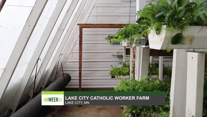 Deep-winter greenhouses can make year-round fresh, local produce a reality - Vimarsana News
