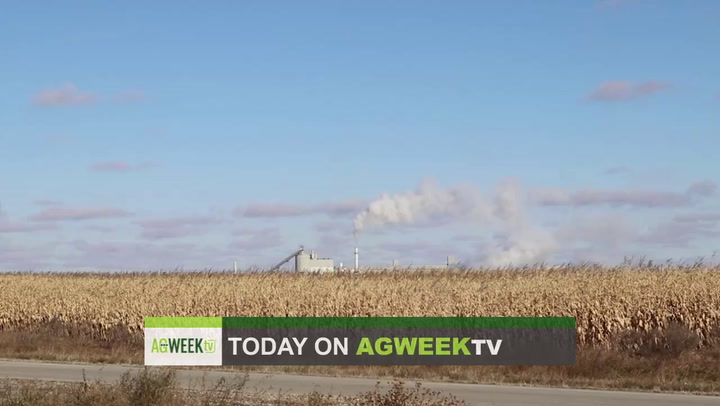 AgweekTV Full Show: WOTUS, Green Plains, better bread, faster growing cows - Vimarsana News