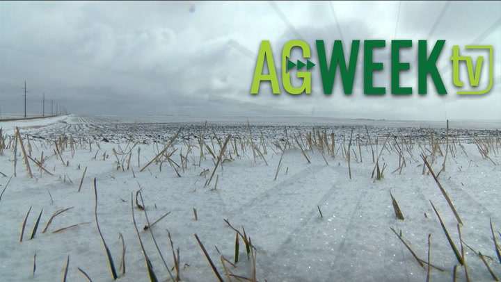 AgweekTV Full Show: Farmland prices, Waubun meat processing, Agweek Livestock Tour - Vimarsana News