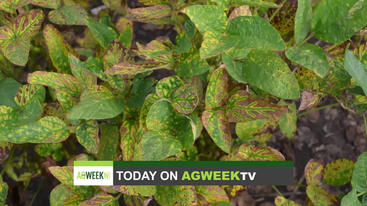 AgweekTV Full Show: Barge shipping, new pests, college meat processing programs, cheese and butter - Vimarsana News