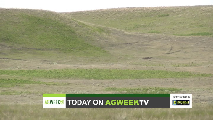 AgweekTV Full Show: Blizzard impacts on cattle and drought, avian influenza, dairy pricing, Sharing Our Roots - Vimarsana News