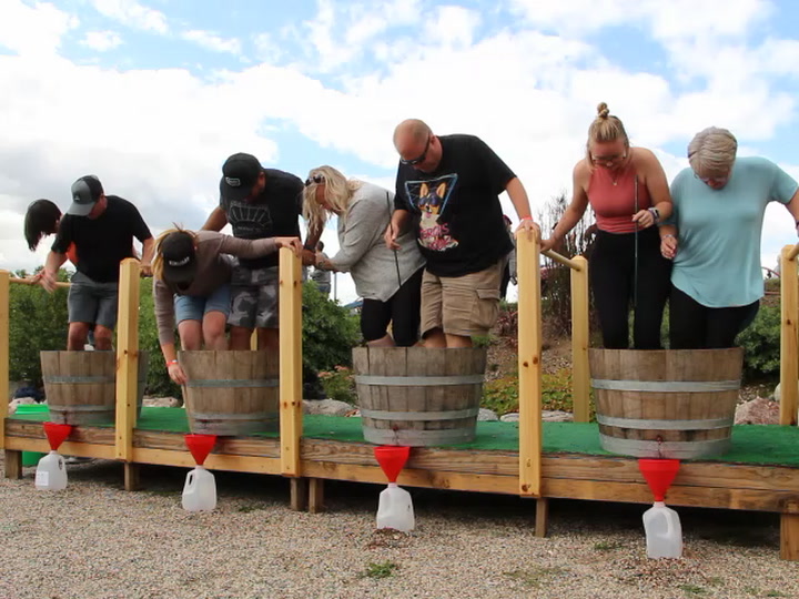 The Last Great Grape Stomp: Richwood Winery hosts 40 stompers for final event - Vimarsana News