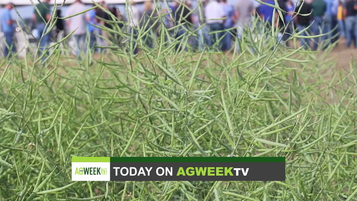 AgweekTV Full Show: Specialty crop harvest, diversified farmer, FFA chapter success, historic 4-H donation - Vimarsana News