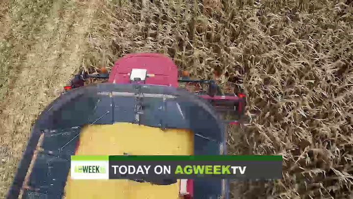 AgweekTV Full Show: Starter flock, harvest outlook, corn drying, regenerative flax, sugarbeet harvest - Vimarsana News