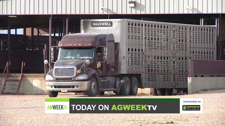 AgweekTV Full Show: Avian influenza, disaster relief, container shortage, BetterFed Beef - Vimarsana News