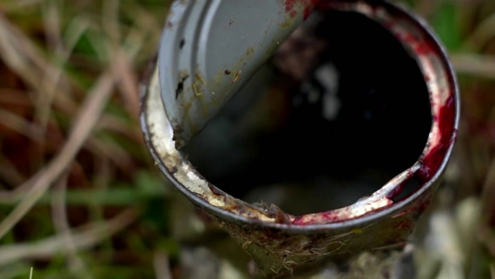 National Post | Polar Bear Rescued After Tongue Stuck In Tin Can
